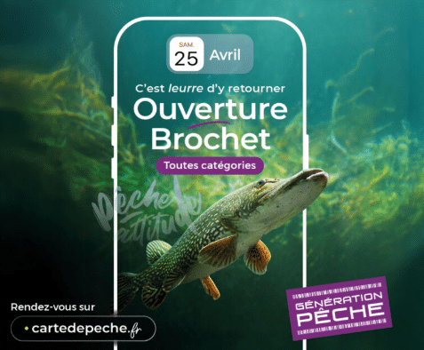 Capture d'écran 2026-04-10 154150