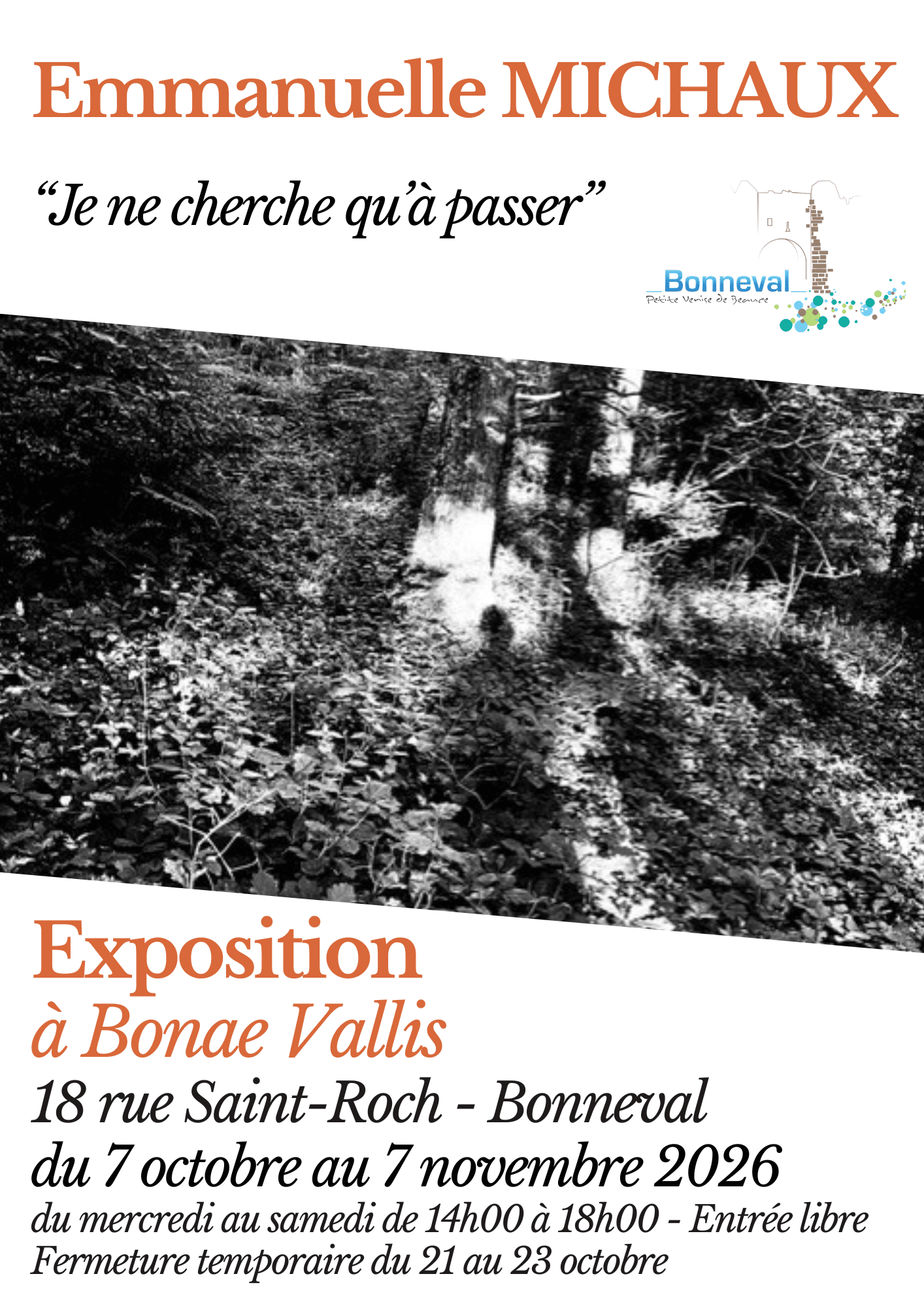AFFICHE MICHAUX